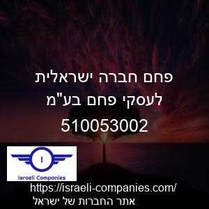 פחם חברה ישראלית לעסקי פחם בעמ חפ 510053002