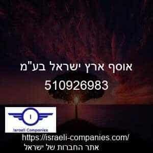 אוסף ארץ ישראל בעמ חפ 510926983