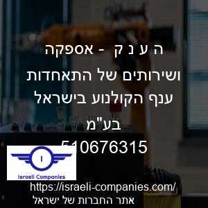 ה ע נ ק  - אספקה ושירותים של התאחדות ענף הקולנוע בישראל בעמ חפ 510676315