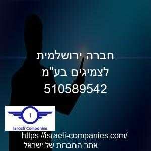 חברה ירושלמית לצמיגים בעמ חפ 510589542