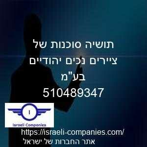 תושיה סוכנות של ציירים נכים יהודיים בעמ חפ 510489347